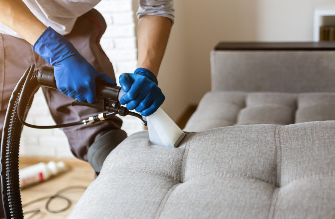 Best Practices For Stain Removal On Sofas