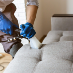 Best Practices For Stain Removal On Sofas