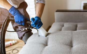 Best Practices For Stain Removal On Sofas