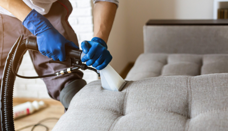 Best Practices For Stain Removal On Sofas